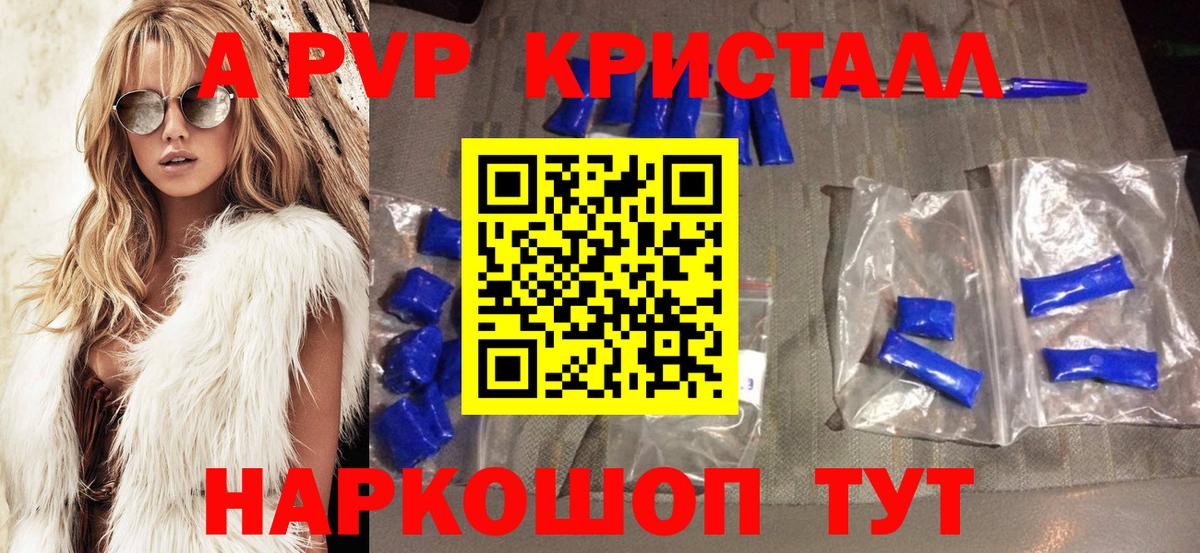 Альфа ПВП СК Аргун