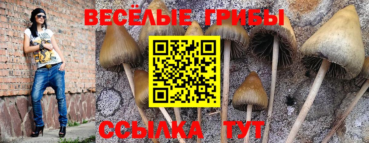 Псилоцибиновые грибы Magic Shrooms Аргун