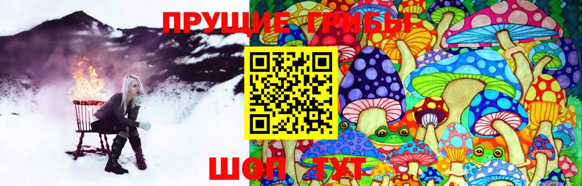 Галлюциногенные грибы ЛСД  Вход с VPN  Аргун 